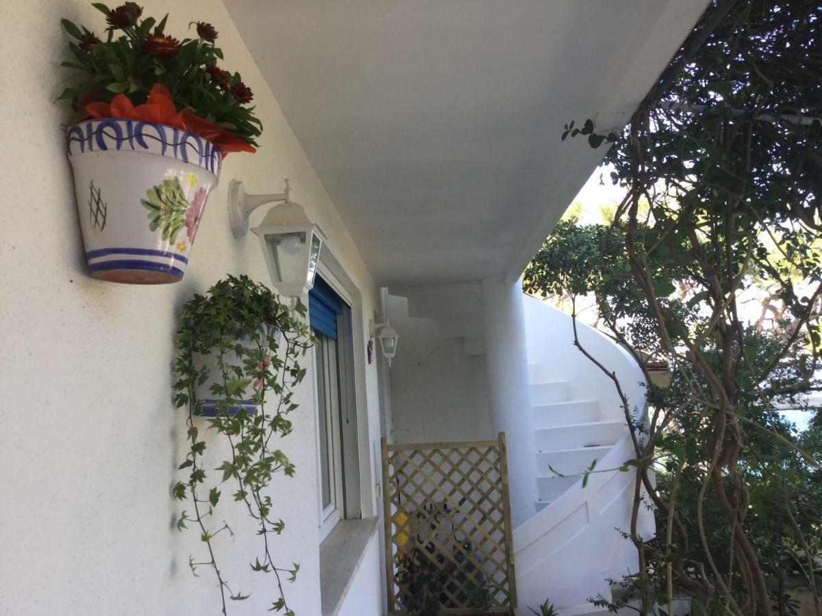 B&B Viadelmare Patù 外观 照片